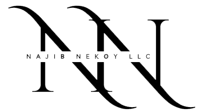 Najib Nekoy LLC